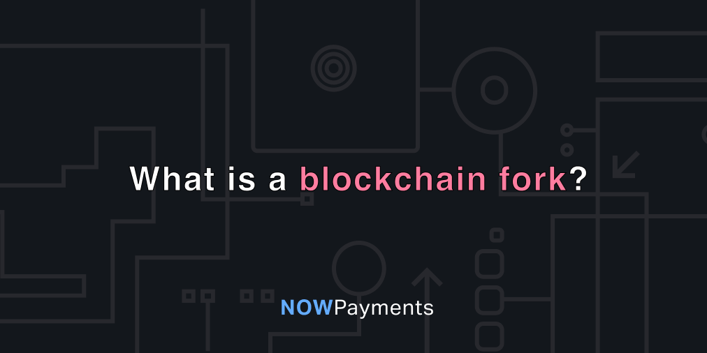 Blockchain Forks Explained Definition, Types, Crypto NOWPayments
