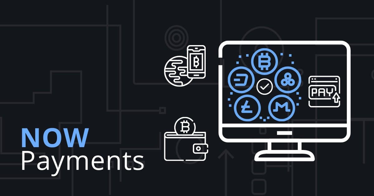 Crypto Payment Processor Explained | NOWPayments