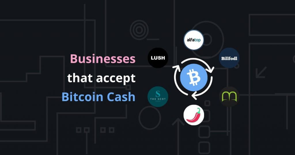 Companies That Accept Bitcoin Cash | NOWPayments