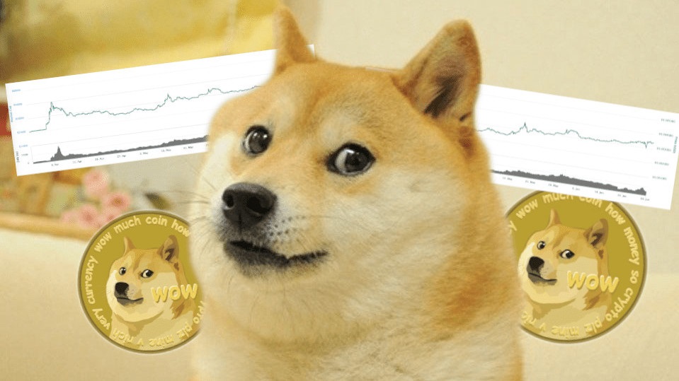 does anyone accept dogecoin