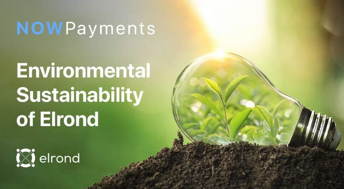 EGLD Sustainability