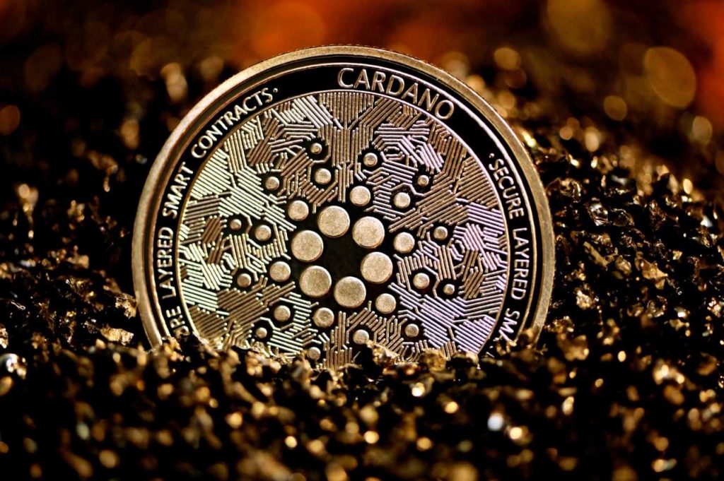 Cardano as payment