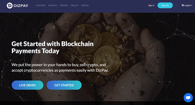 DizPay
