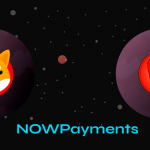 SHIB | LEASH | NOWPayments