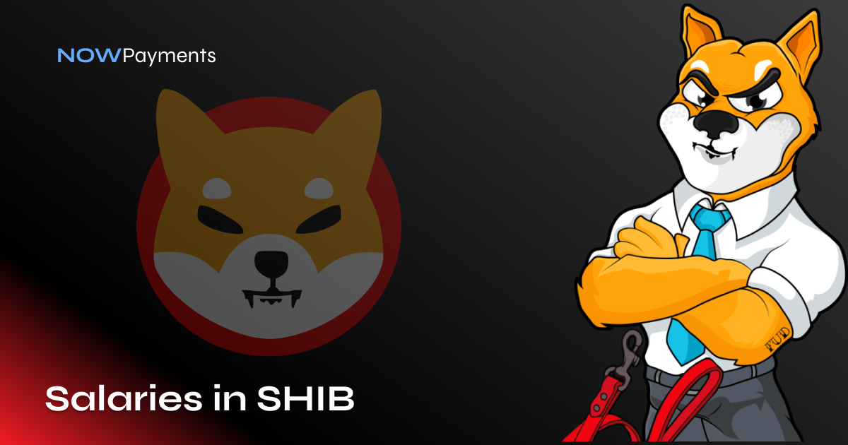 How to have salaries in SHIB