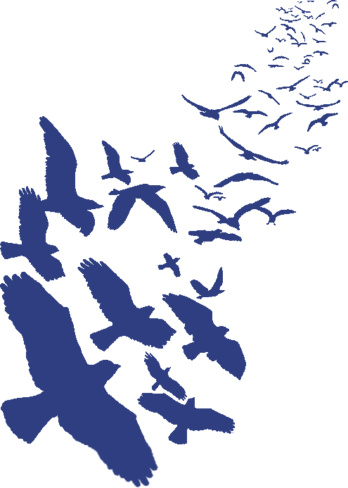 What is Ravencoin?