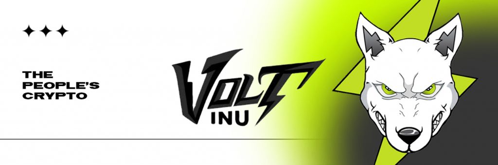 Meet VOLT: Interview with Volt Inu token