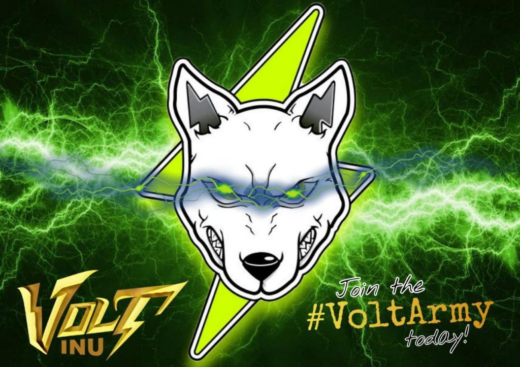 volt crypto