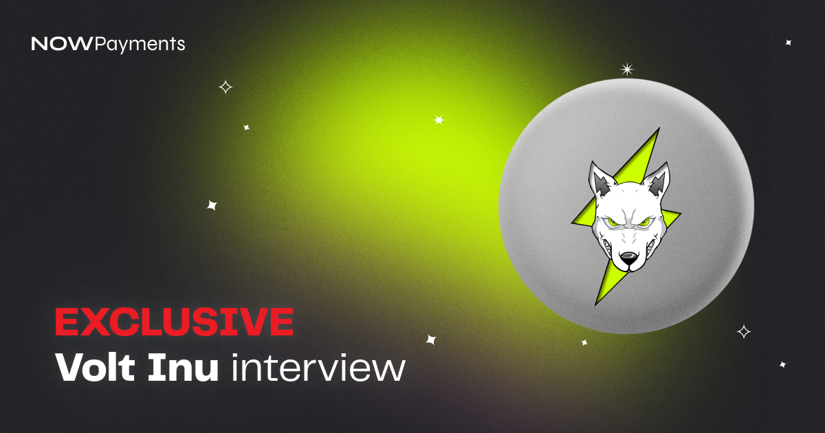 Volt Inu interview