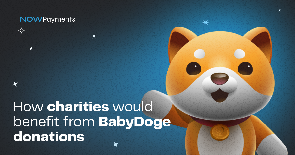 BabyDoge charities