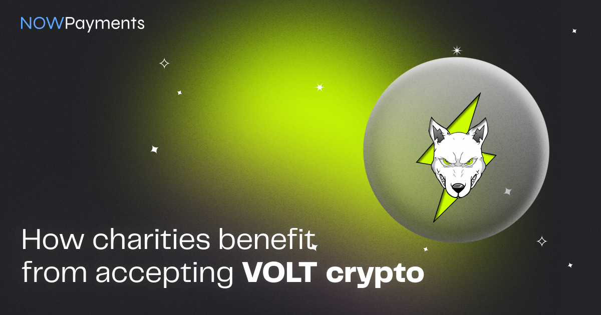 Volt Inu charities