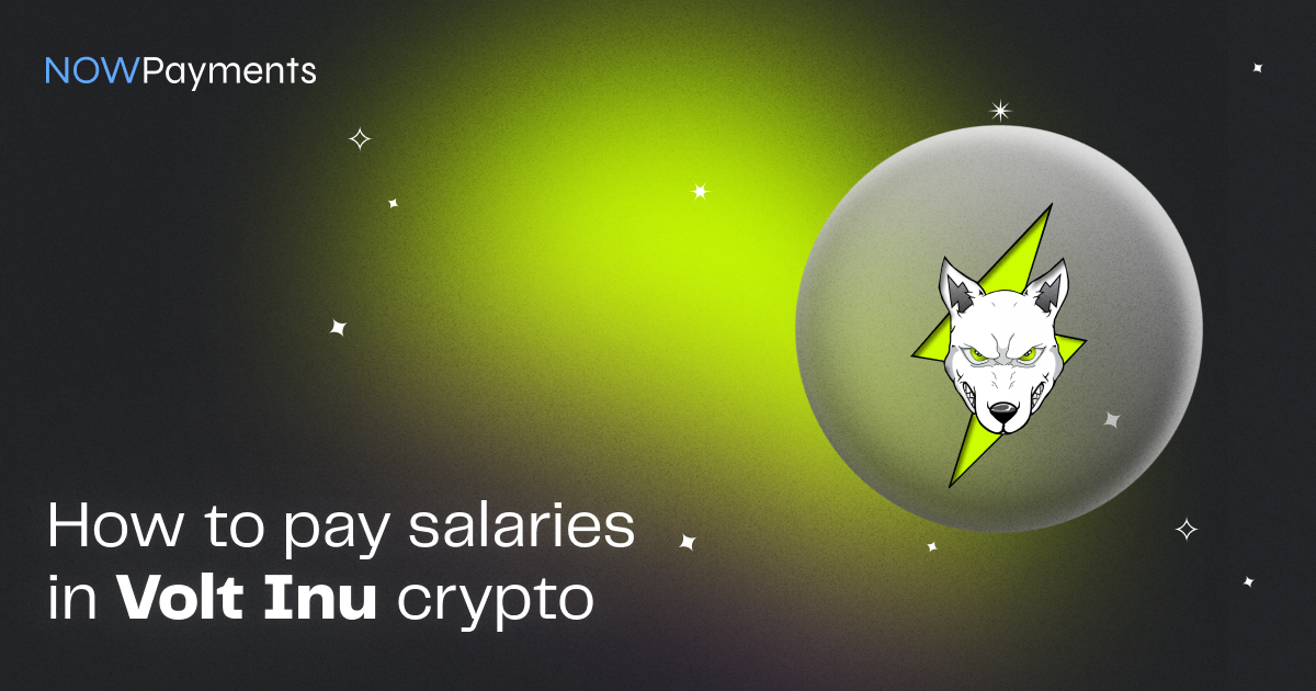 Volt Inu salaries