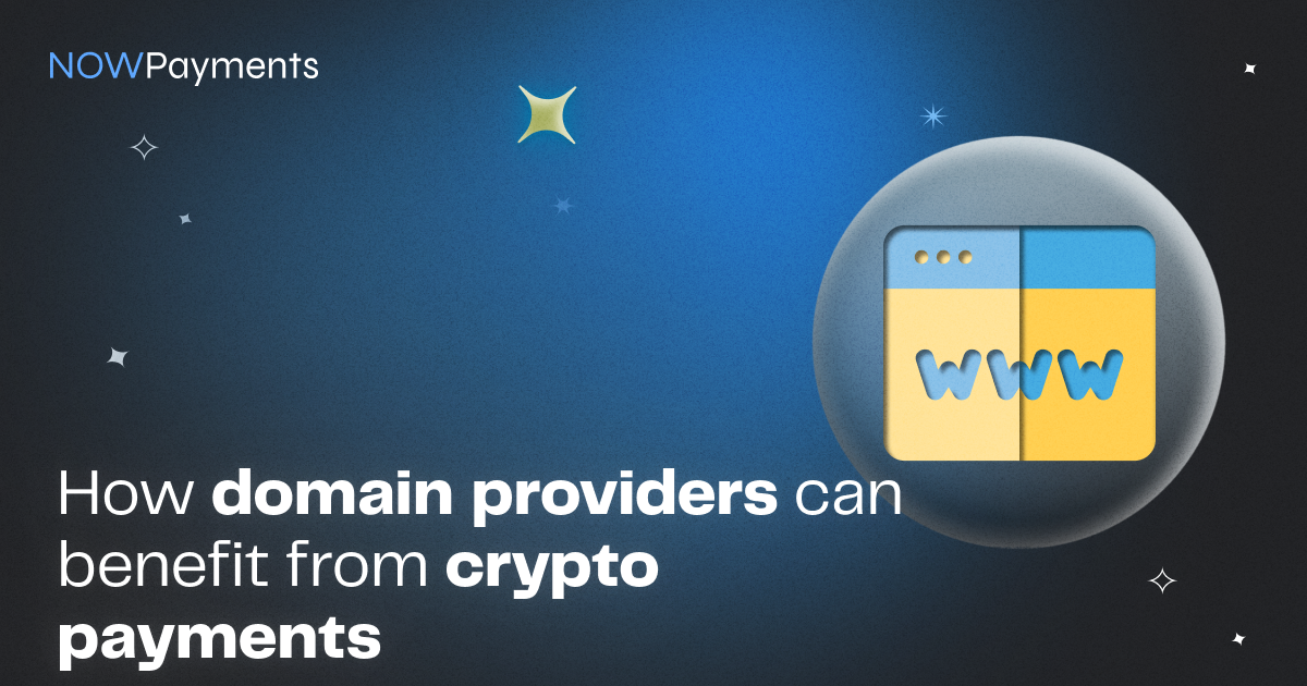 DOMAIN PROVIDERS CRYPTO