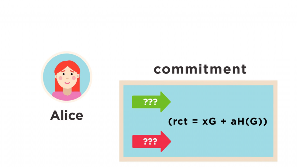 Anonymity and Privacy: RingCT Solution