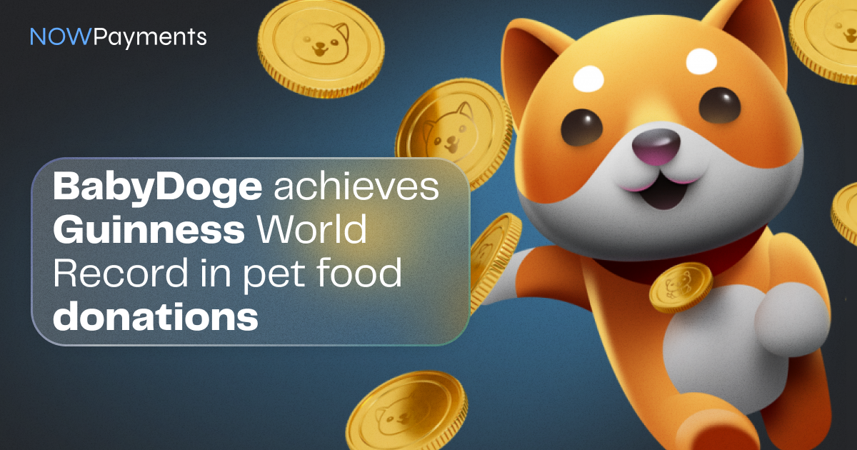 BabyDoge Guinness World Record