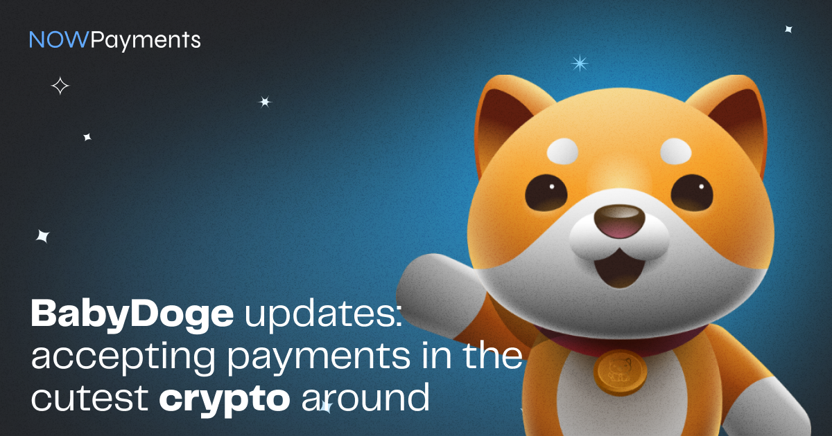 BabyDoge Updates
