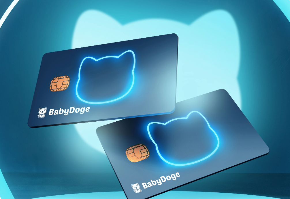 Baby Doge Card Pay: Crypto Payments Made Simple