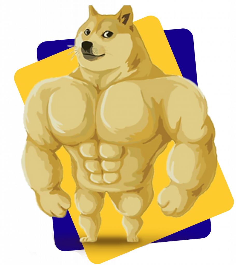 Getting Started with Buff Doge Coin Payments
