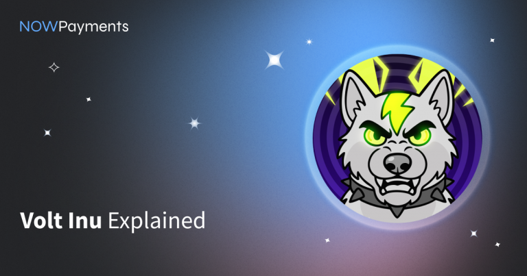 What is Volt Inu cryptocurrency in 2026?